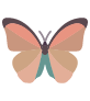 Freedom & Transformation